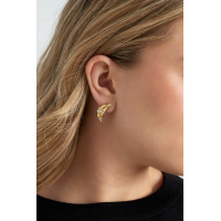 Croissant Oorbel  Stainless Steel Goud