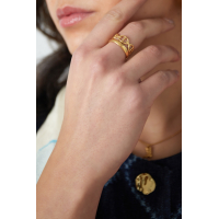 Dubbel Ring Stainless Steel Goud