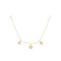 Drie Munt Ketting Stainless Steel Goud