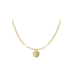 Munt Schakel Ketting Stainless Steel Goud