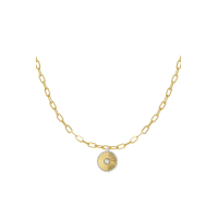 Munt Schakel Ketting Stainless Steel Goud