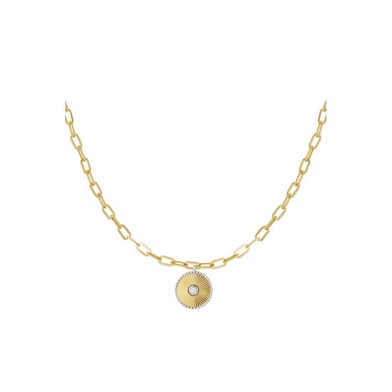 Munt Schakel Ketting Stainless Steel Goud