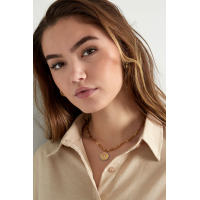 Munt Schakel Ketting Stainless Steel Goud