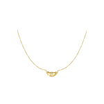 Croissant Ketting Stainless Steel Goud