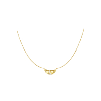 Croissant Ketting Stainless Steel Goud