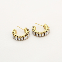 Zirkoon Steen Oorbel Stainless Steel