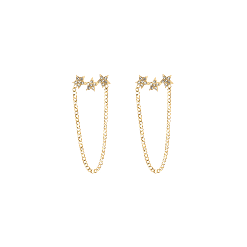 Ster Oorbel Stainless Steel Goud