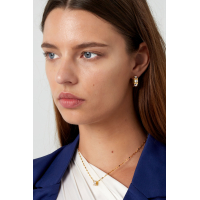 Oorbellen Hartjes Met Steentjes Stainless Steel