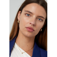 Oorbellen Hartjes Met Steentjes Stainless Steel