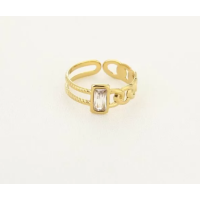 Schakel Ring Stainless steel