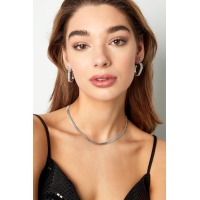 Ovale Oorbellen Met Zirkoonsteen Stainless Steel