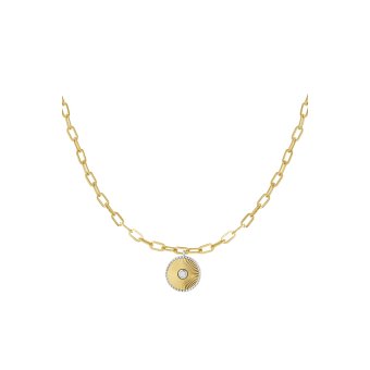 Munt Schakel Ketting Stainless Steel Goud