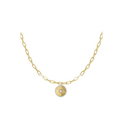 Munt Schakel Ketting Stainless Steel Goud