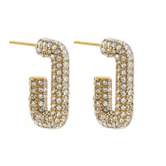 Oorbellen Met Zirkoonsteen Stainless Steel